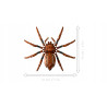 LEGO Harry Potter Aragog w Zakazanym Lesie 76434