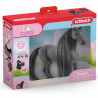 SCHLEICH KLACZ CRIOLLO DEFINITIVO SOFIAS BEAUTIES