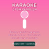 Mikrofon karaoke Psi Patrol Skye — bezprzewodowy | xaxebricks.pl